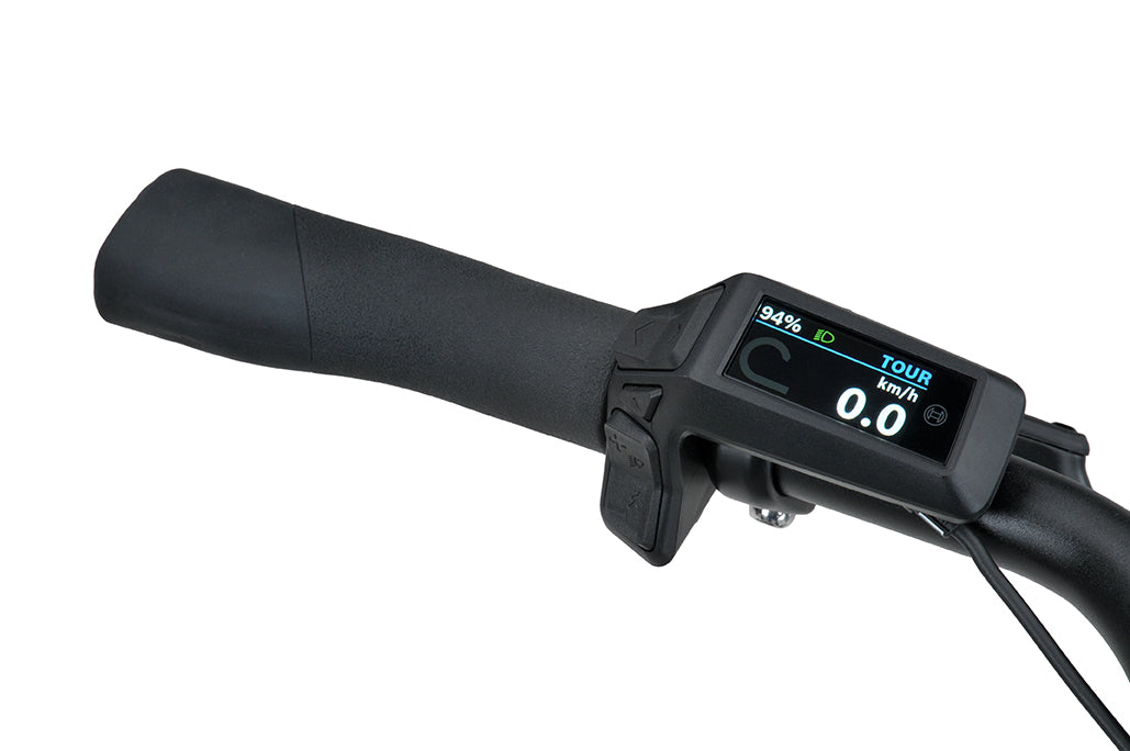 Batavus Altura CP Plus
