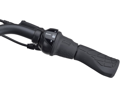 Batavus Finez PT Flex