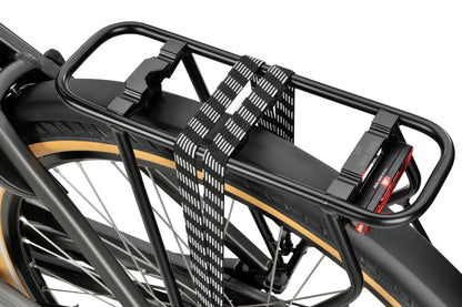 Sparta C-Grid Energy