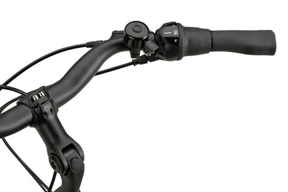 Batavus Altura CP Plus