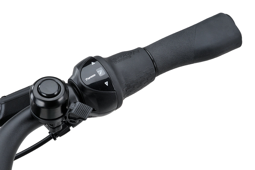 Batavus Altura PT