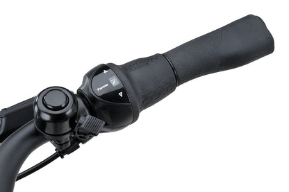 Batavus Altura PT