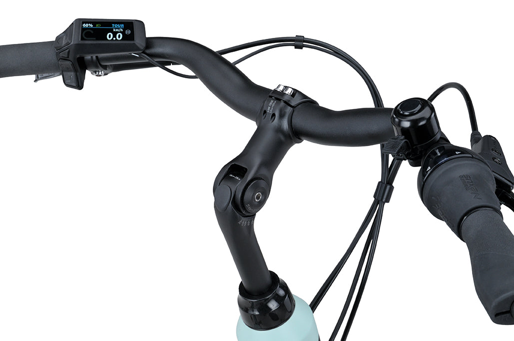 Batavus Altura PT